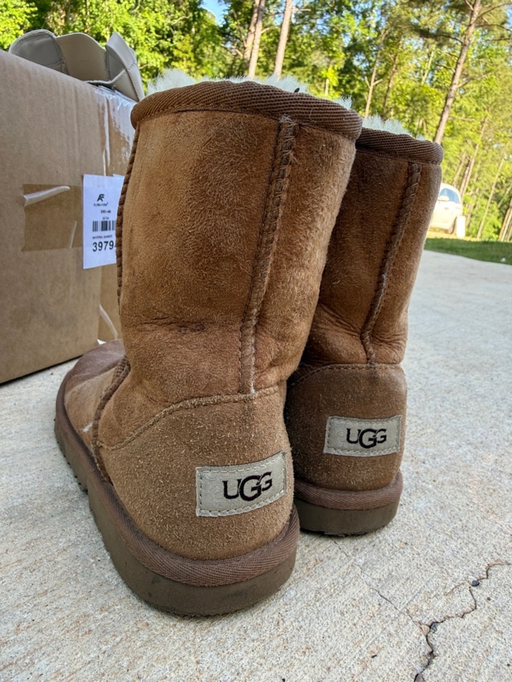 UGG Chestnut Short Suede Boots
